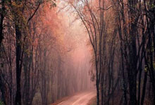 利物浦客场击败对手，领先优势扩大