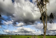 掘金队半程低迷，球队需找回状态