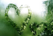 利物浦客场击败对手，领先优势扩大