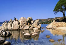 利物浦客场击败对手，领先优势扩大