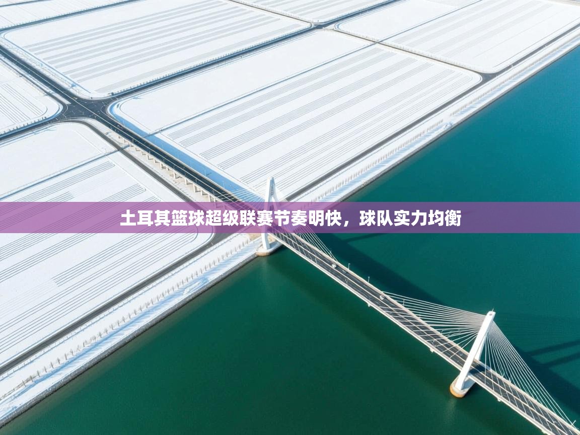 土耳其篮球超级联赛节奏明快，球队实力均衡