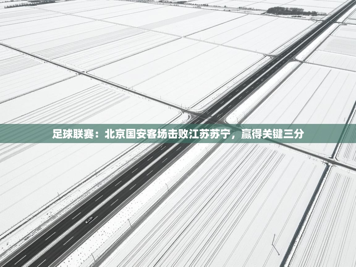 足球联赛：北京国安客场击败江苏苏宁，赢得关键三分