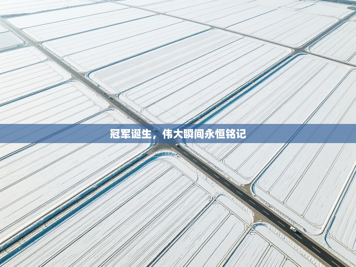 冠军诞生，伟大瞬间永恒铭记