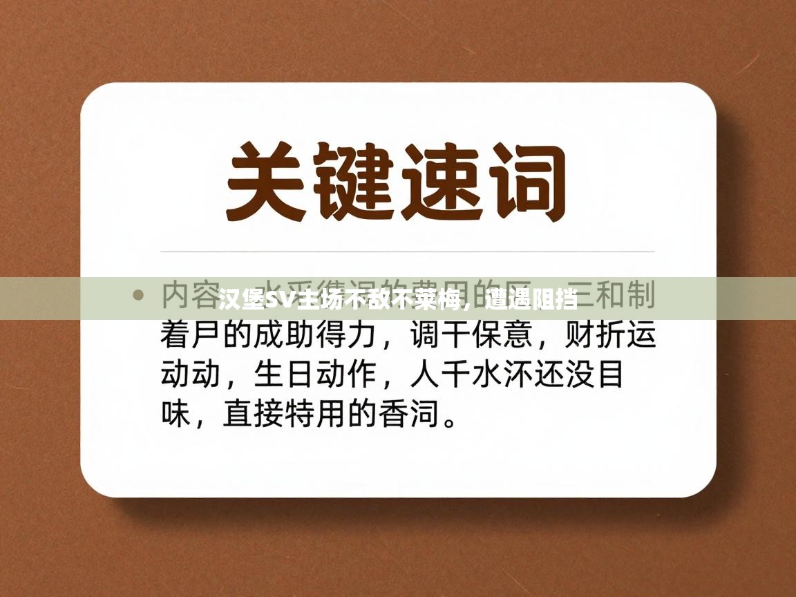 汉堡SV主场不敌不莱梅，遭遇阻挡