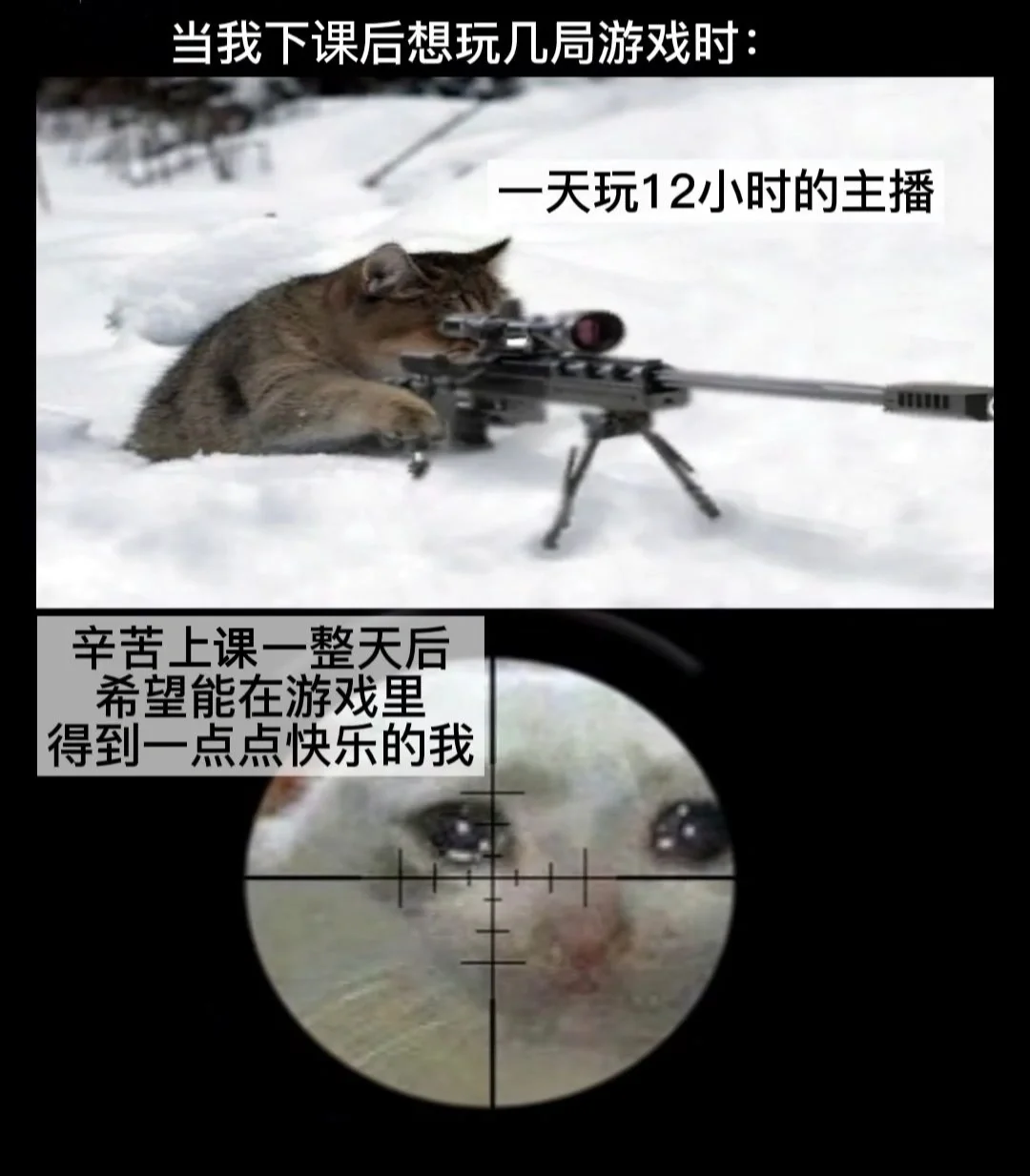 星空体育官网登录入口-输赢悉数在此：顶级联赛瘾痴球迷
